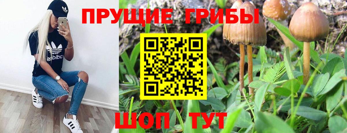Псилоцибиновые грибы мухоморы Кимовск