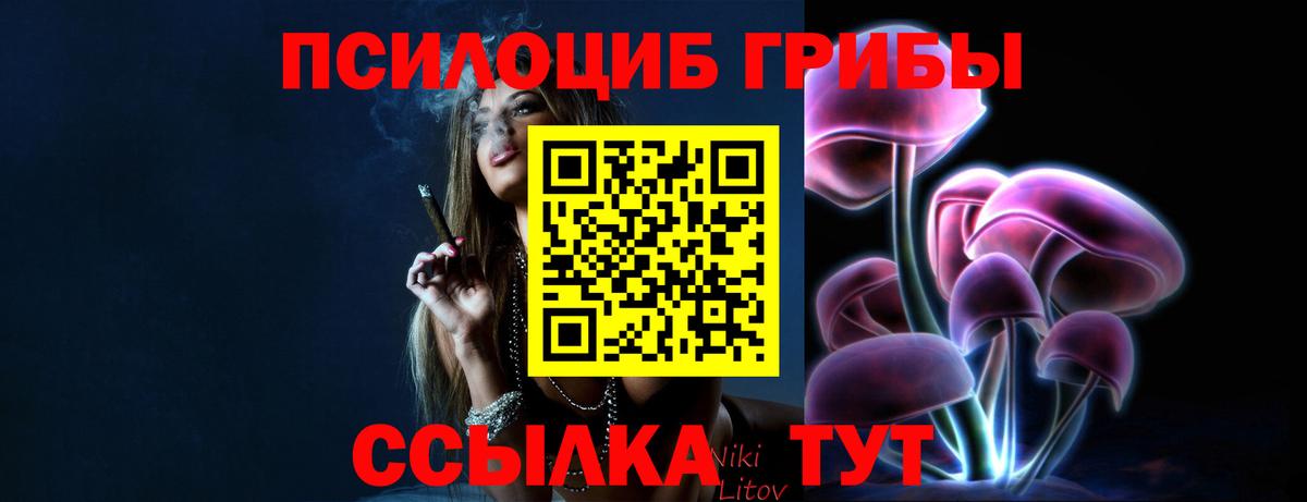 Галлюциногенные грибы MAGIC MUSHROOMS  Вход с VPN  Кимовск 